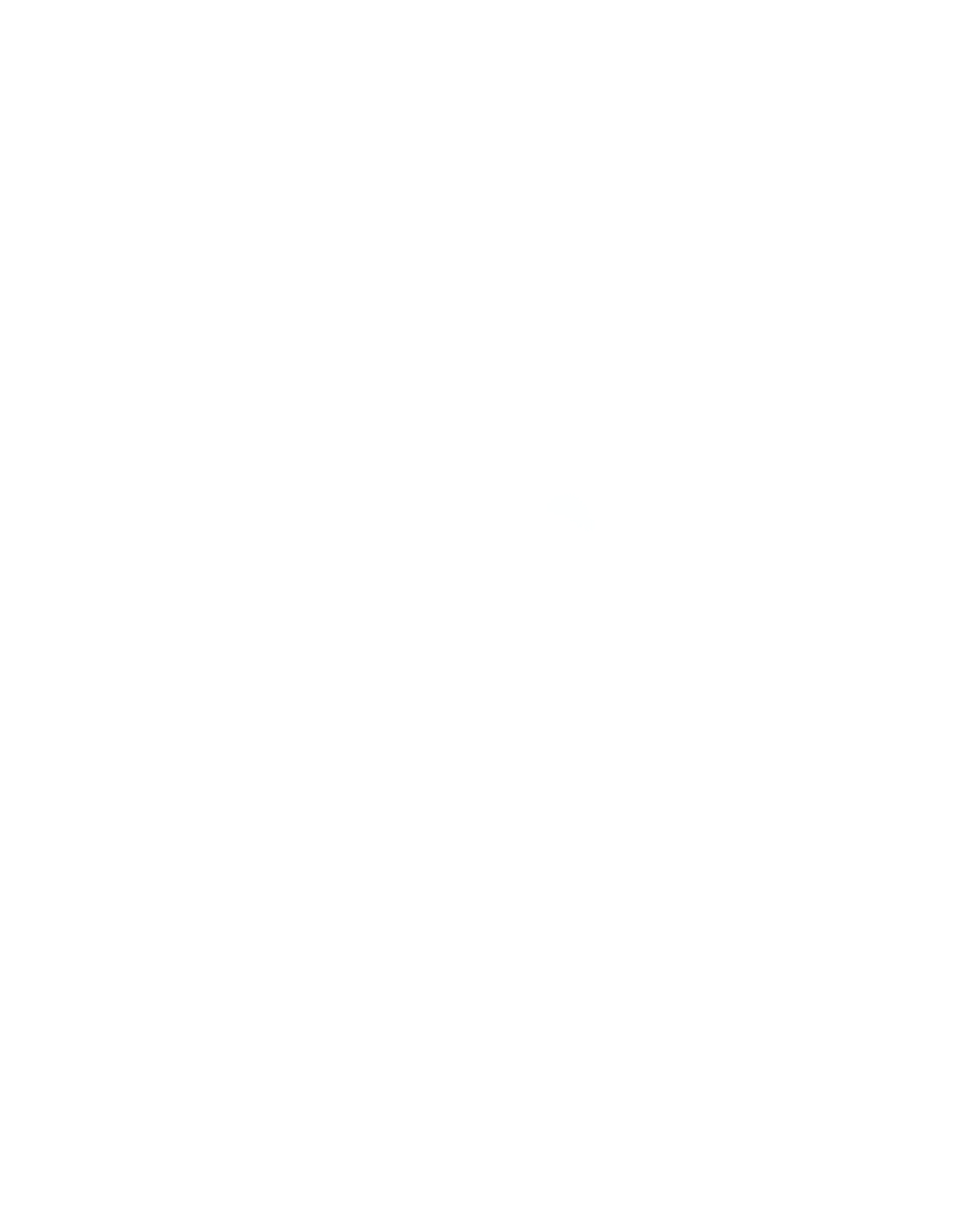 Bürküt Ata Logosu